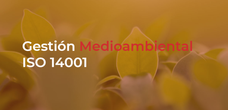 14001 rg 768x370