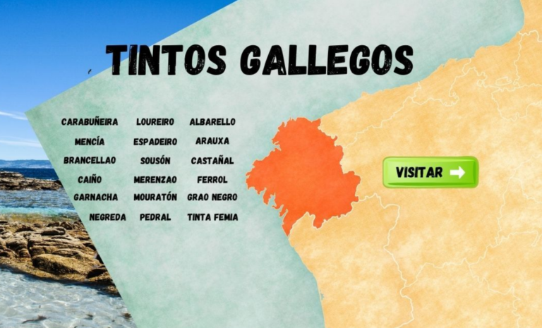 gallegos 768x465